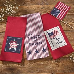 This Land Is Your Land Dish Towel Set of 3
