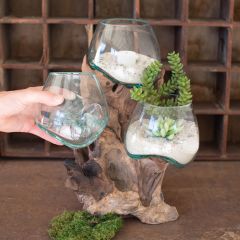 Three Glass Display Bowls on Driftwood Base