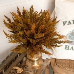 Tones of Autumn Prickly Pine Bush