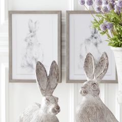 Vintage Inspired Framed Rabbit Prints Set of 2