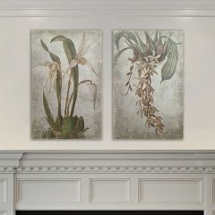 Vintage Inspired Orchid Print Set of 2