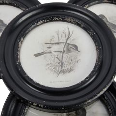 Vintage Inspired Round Framed Bird Print Collection Set of 4