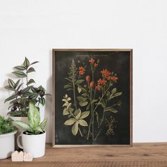 Vintage Orange Floral Print Black Wall Art