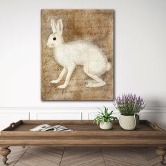 Vintage Rabbit 5 Canvas Wall Art