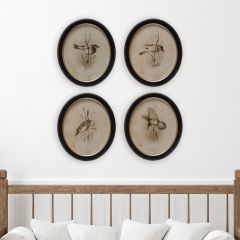Vintage Reproduction Oval Framed Bird Wall Decor Set of 4