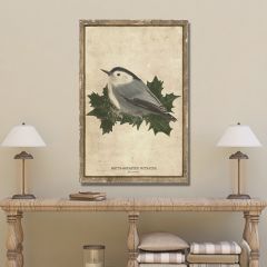 White Breasted Nuthatch Print Canvas Wall Art