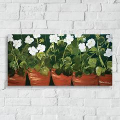 White Geranium Canvas Wall Art