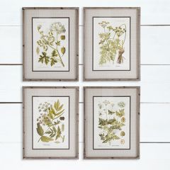 Wood Framed Beautiful Botanical Prints Set of 4