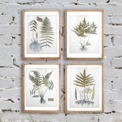 Wood Framed Botanical Wall Prints Set of 4