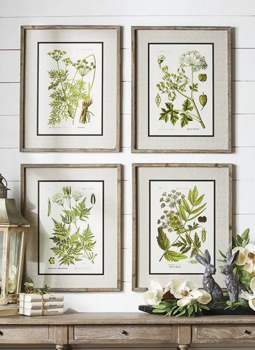 Wood Framed Botanical Print Collection Set of 4 | Antique Farmhouse