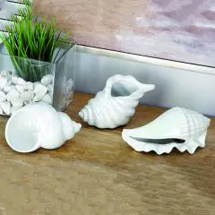 Porcelain Shells Set of 3