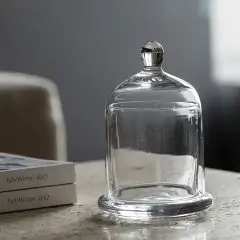 Simple Petite Lidded Glass Plate