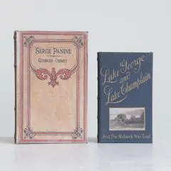 Book Boxes Hidden Storage Set of 2