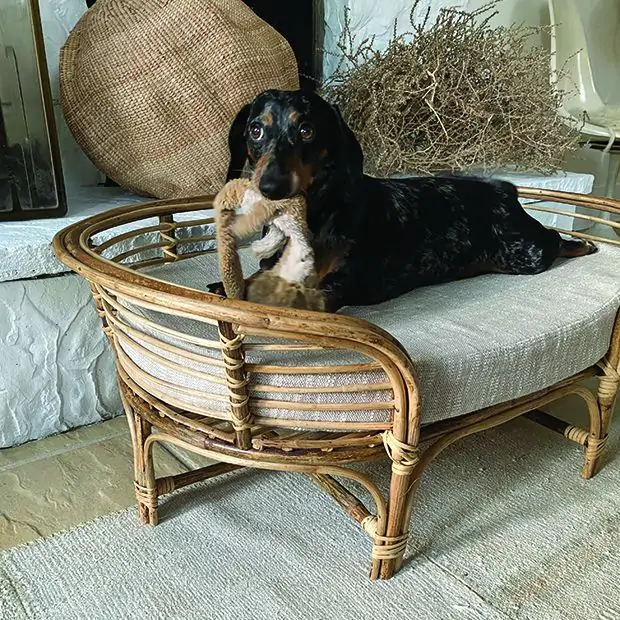 Cushioned Rattan Dog Bed Antique Farmhouse