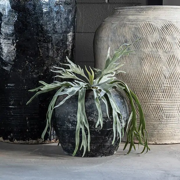 Decorative Clay Cunmin Pot | Antique Farmhouse