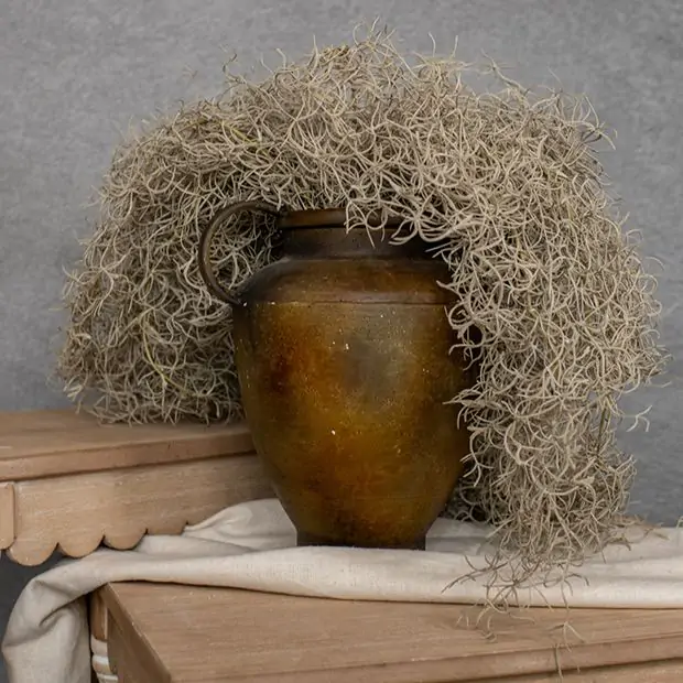 Decorative Faux Spanish Moss Bush Set of 3 | Antique Farmhouse