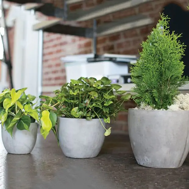 Farmhouse Garden Concrete Planter Pot | Antique Farmhouse