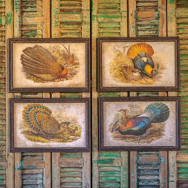 pheasant pictures framed