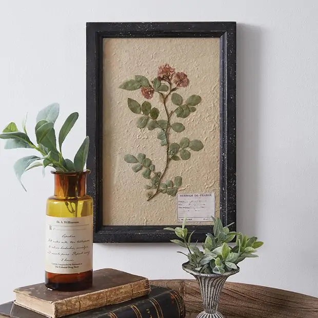 Japanese Rose Pressed Botanical Wall Art | Antique Farmhouse