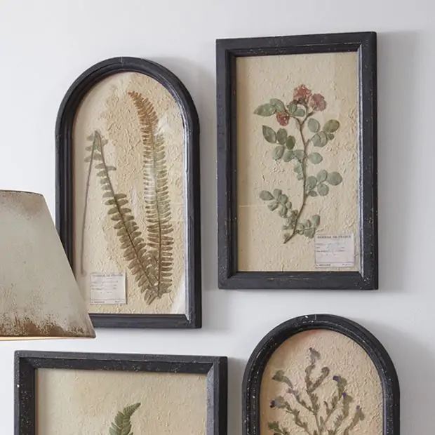 Japanese Rose Pressed Botanical Wall Art | Antique Farmhouse