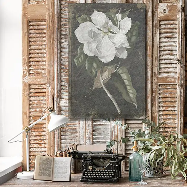 Magnolia Noir Canvas Wall Art | Antique Farmhouse