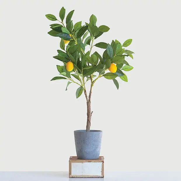 Potted Faux Lemon Tree | Antique Farmhouse