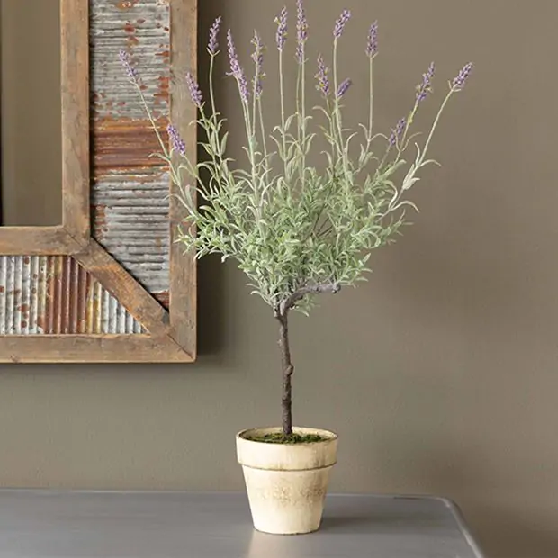 Potted Lavender Topiary