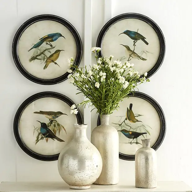 bird photography wall art