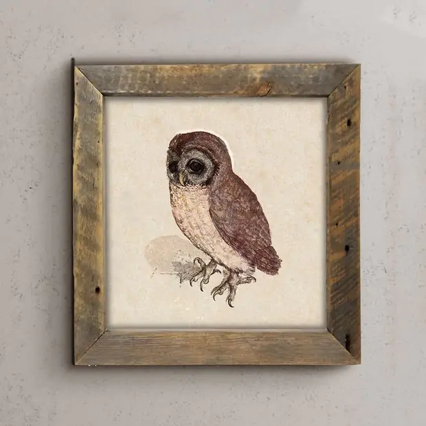 Rustic Framed Vintage Owl Wall Art Antique Farmhouse