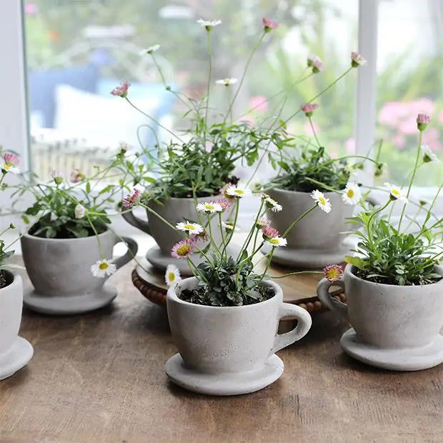 Simple Accents Concrete Teacup Planter Set of 6 | Antique Farmhouse