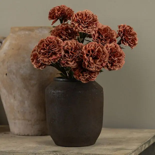 SOA CARNATION 香水 50ml ソア　カーネーション Sunset Terracotta Carnation Spray Set of 4 | Antique Farmhouse