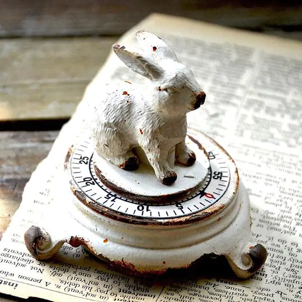 What to Look for in a Kitchen Timer: Essential Features Explained