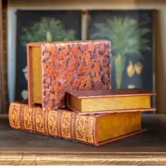 Decorative Book Box Set of 3
