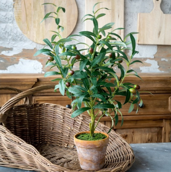 Faux Potted Olive Tree Plant