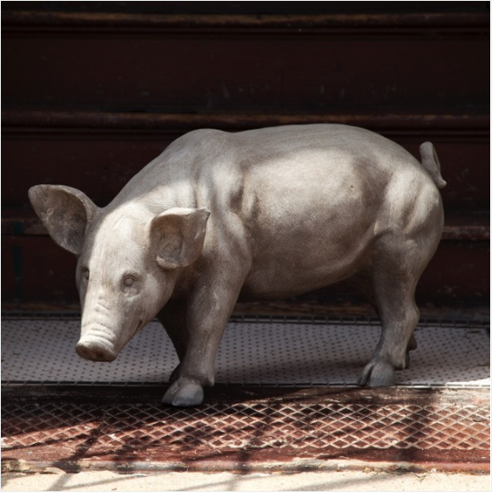 White Estate Stone Pig Statue Home Decoration 